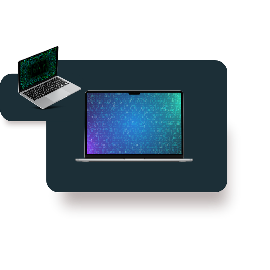 logo pirate