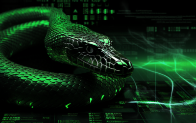 Die Bedeutung von Python in der Berufswelt